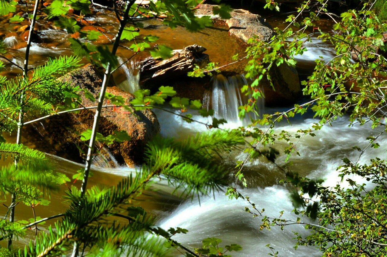 Resort in Estes Park